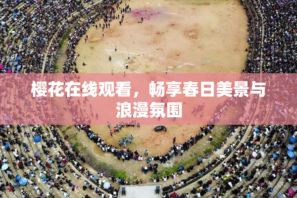 樱花在线观看，畅享春日美景与浪漫氛围