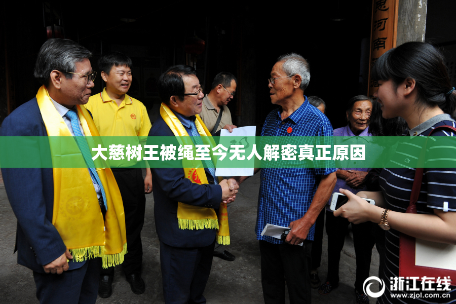 大慈树王被绳至今无人解密真正原因