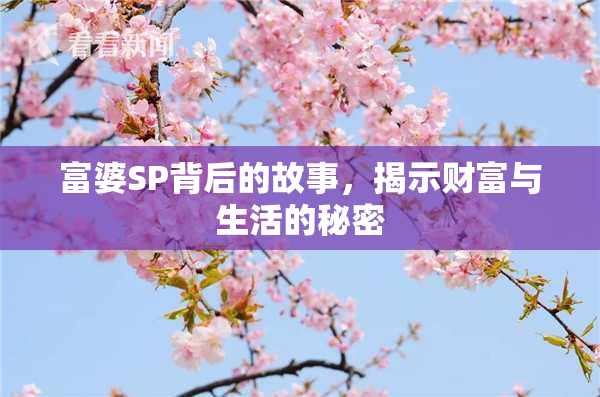 富婆SP背后的故事，揭示财富与生活的秘密