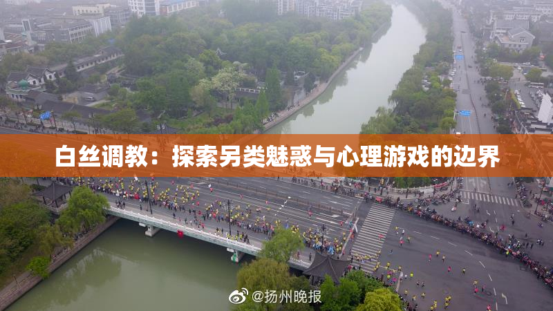 白丝调教：探索另类魅惑与心理游戏的边界