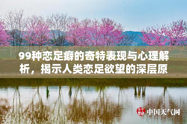 99种恋足癖的奇特表现与心理解析，揭示人类恋足欲望的深层原因