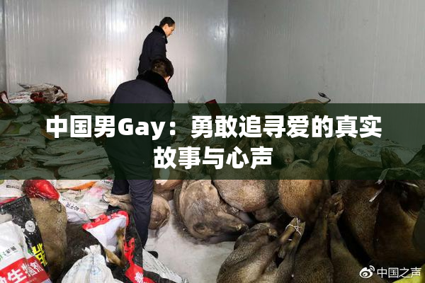 中国男Gay：勇敢追寻爱的真实故事与心声