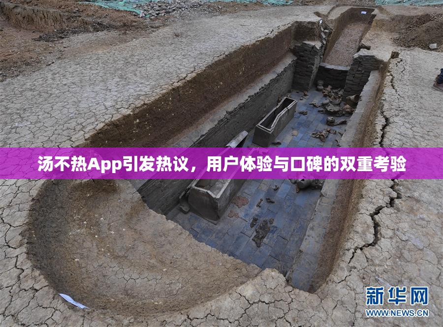 汤不热App引发热议，用户体验与口碑的双重考验