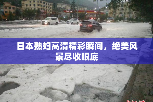日本熟妇高清精彩瞬间，绝美风景尽收眼底
