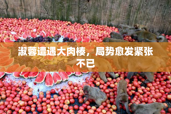 淑蓉遭遇大肉楱，局势愈发紧张不已
