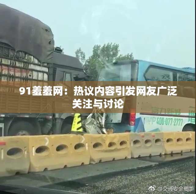91羞羞网：热议内容引发网友广泛关注与讨论