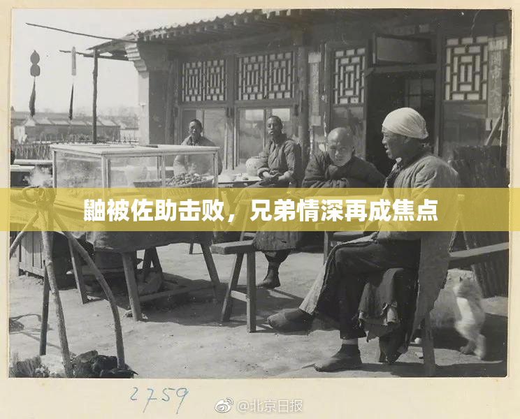鼬被佐助击败，兄弟情深再成焦点