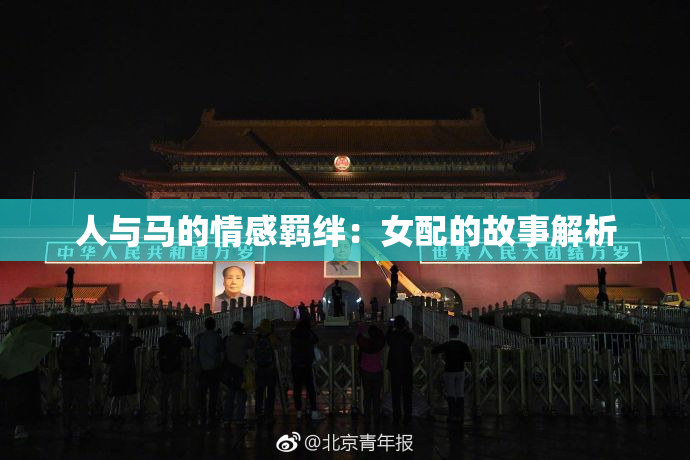 人与马的情感羁绊：女配的故事解析