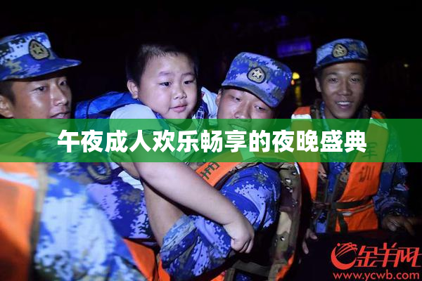 午夜成人欢乐畅享的夜晚盛典