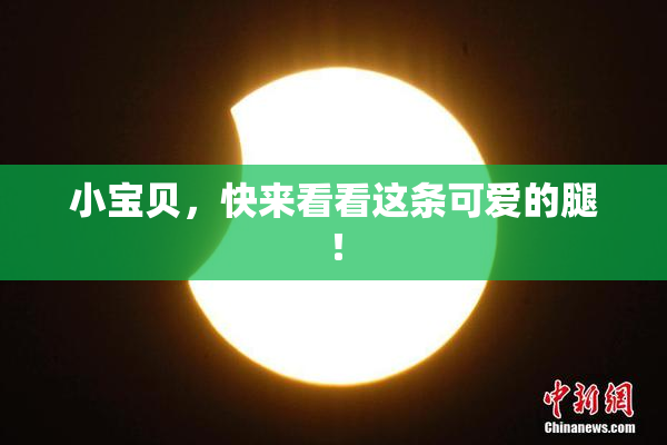 小宝贝，快来看看这条可爱的腿！