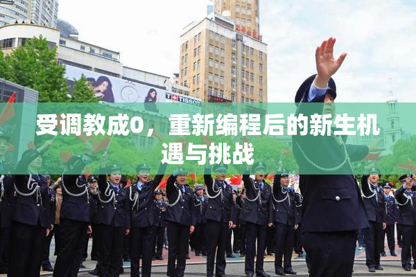 受调教成0，重新编程后的新生机遇与挑战