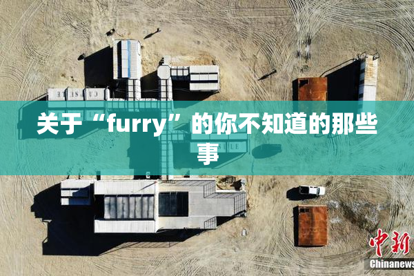 关于“furry”的你不知道的那些事