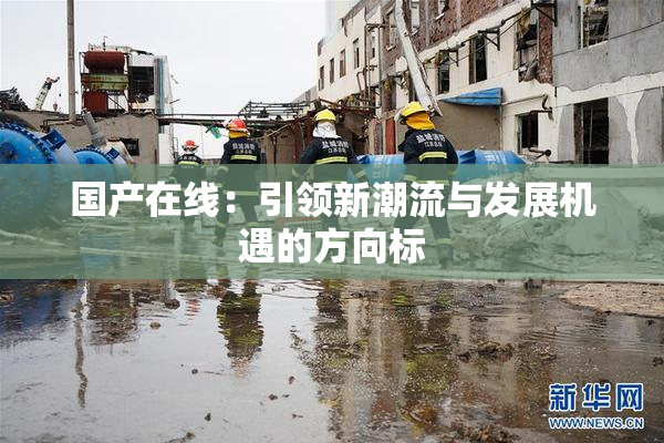 国产在线：引领新潮流与发展机遇的方向标