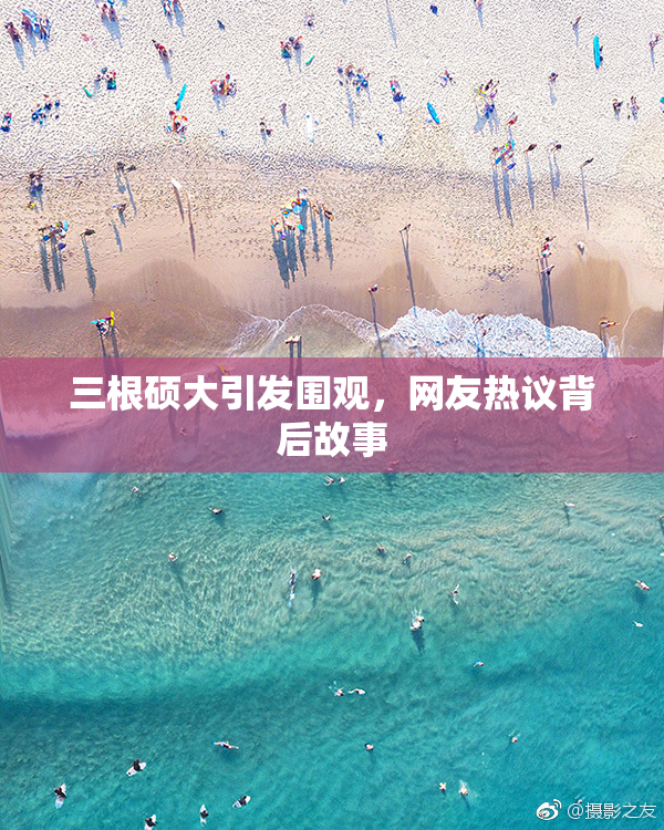 三根硕大引发围观，网友热议背后故事