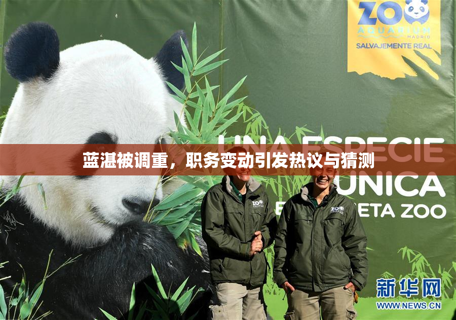蓝湛被调重，职务变动引发热议与猜测