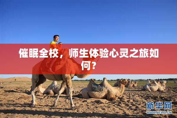 催眠全校，师生体验心灵之旅如何？