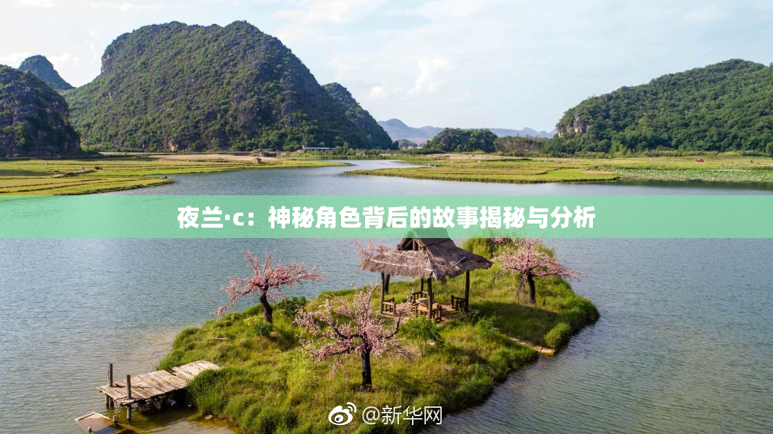 夜兰·c：神秘角色背后的故事揭秘与分析