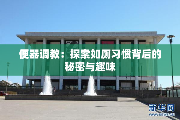 便器调教：探索如厕习惯背后的秘密与趣味