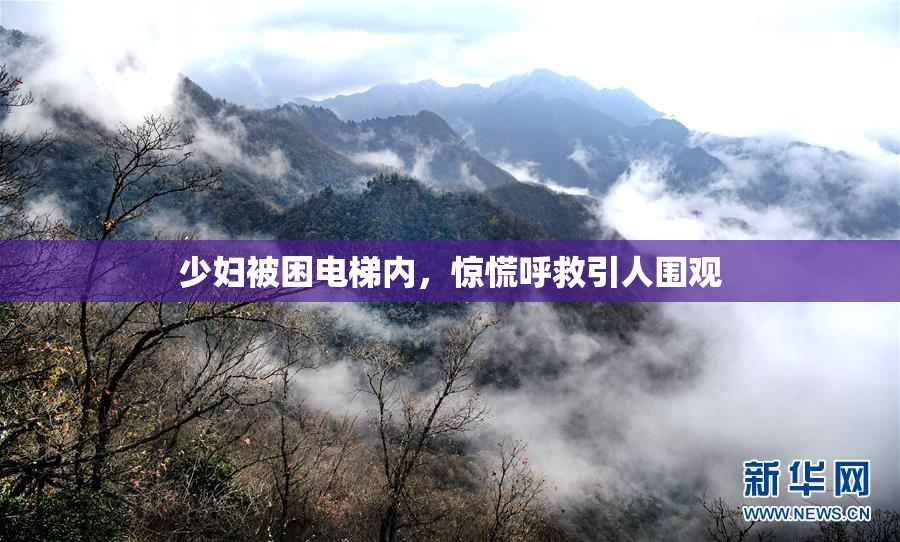 少妇被困电梯内，惊慌呼救引人围观