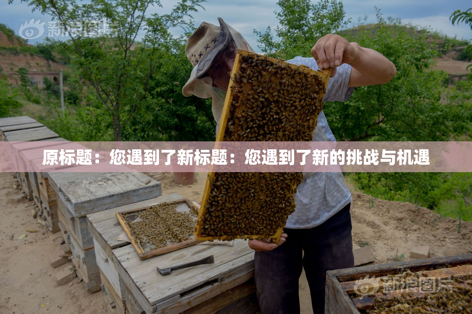 原标题：您遇到了新标题：您遇到了新的挑战与机遇