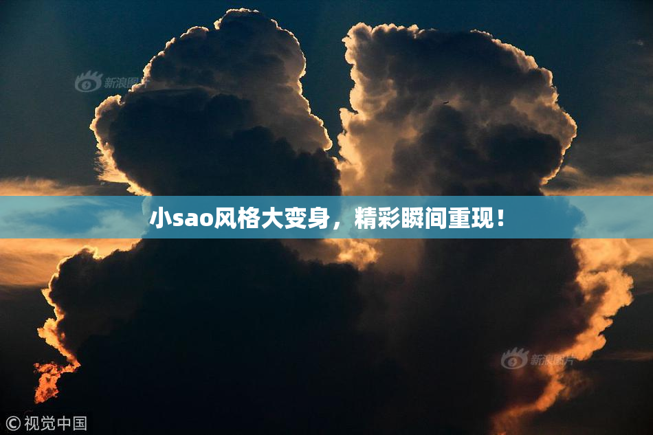 小sao风格大变身，精彩瞬间重现！