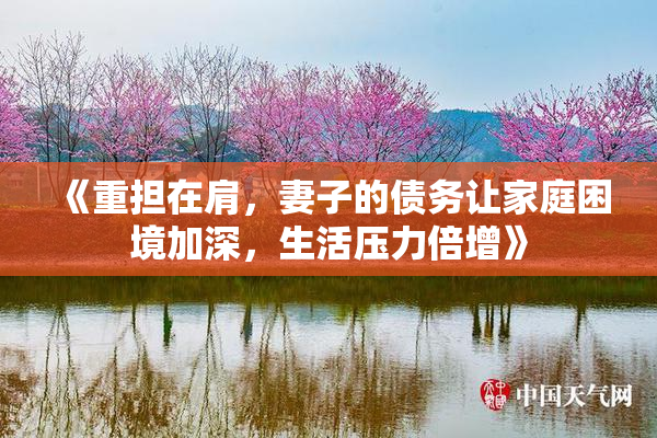 《重担在肩，妻子的债务让家庭困境加深，生活压力倍增》