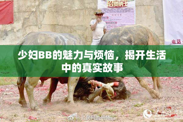 少妇BB的魅力与烦恼，揭开生活中的真实故事
