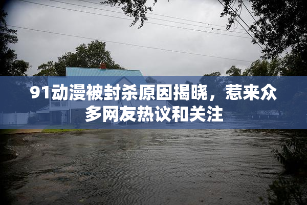 91动漫被封杀原因揭晓，惹来众多网友热议和关注