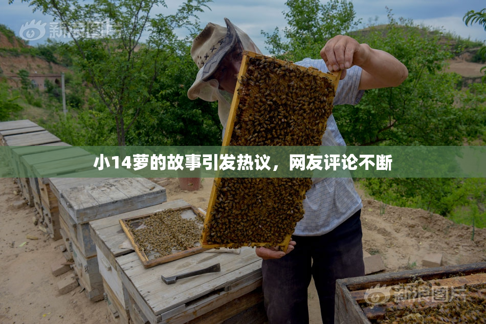 小14萝的故事引发热议，网友评论不断