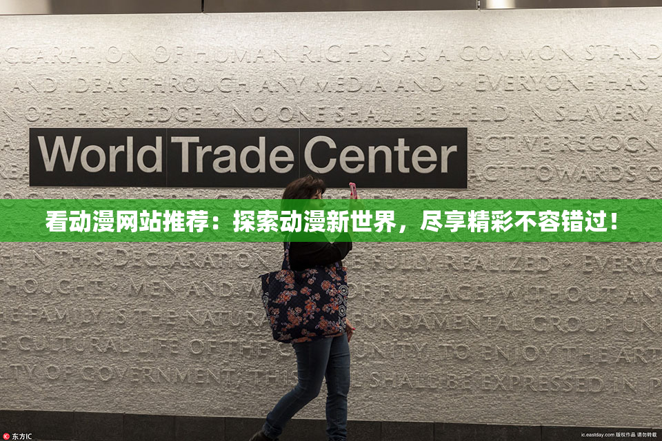 看动漫网站推荐：探索动漫新世界，尽享精彩不容错过！