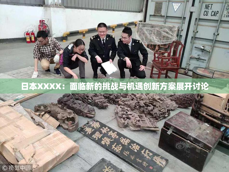日本XXXX：面临新的挑战与机遇创新方案展开讨论