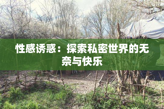 性感诱惑：探索私密世界的无奈与快乐