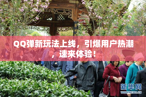 QQ弹新玩法上线，引爆用户热潮，速来体验！