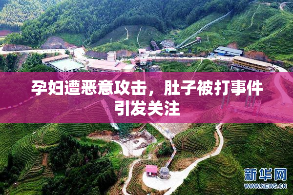 孕妇遭恶意攻击，肚子被打事件引发关注