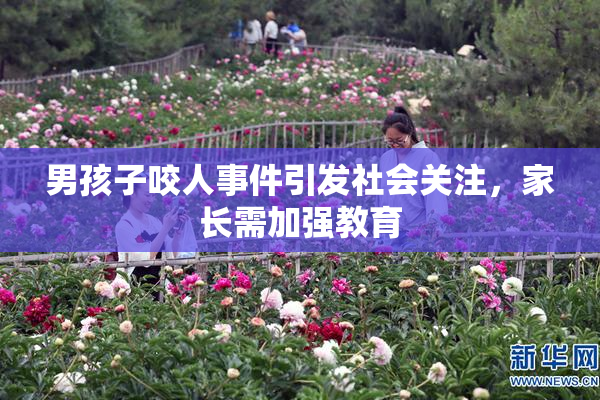 男孩子咬人事件引发社会关注，家长需加强教育