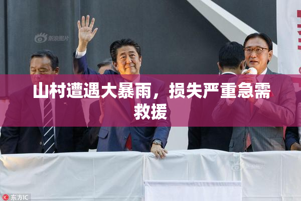 山村遭遇大暴雨，损失严重急需救援