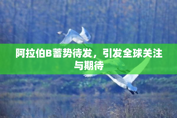 阿拉伯B蓄势待发，引发全球关注与期待