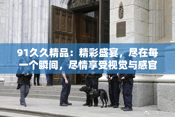91久久精品：精彩盛宴，尽在每一个瞬间，尽情享受视觉与感官的双重震撼！