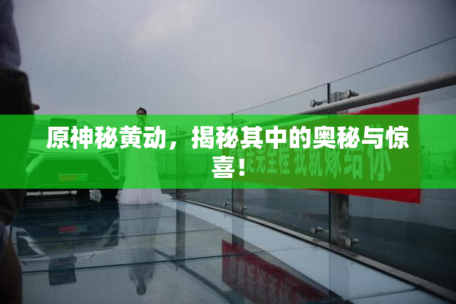 原神秘黄动，揭秘其中的奥秘与惊喜！