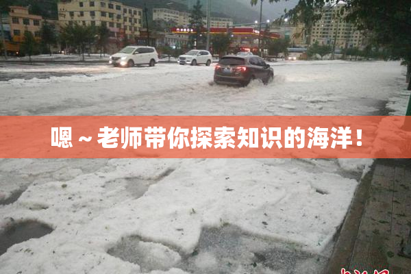 嗯～老师带你探索知识的海洋！