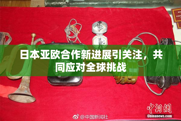 日本亚欧合作新进展引关注，共同应对全球挑战