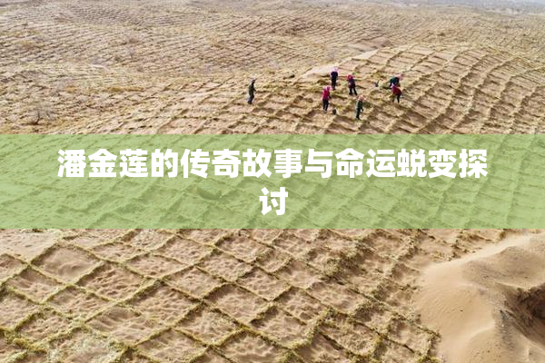 潘金莲的传奇故事与命运蜕变探讨