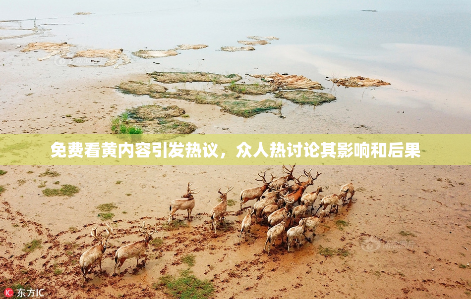 免费看黄内容引发热议，众人热讨论其影响和后果