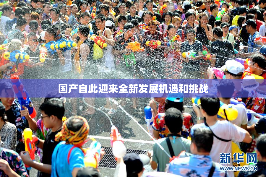 国产自此迎来全新发展机遇和挑战