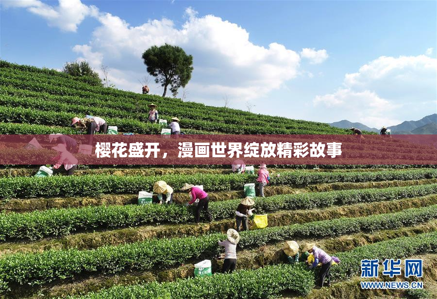 樱花盛开，漫画世界绽放精彩故事