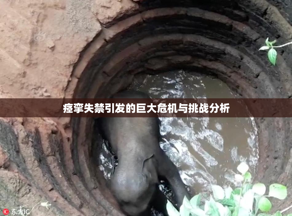 痉挛失禁引发的巨大危机与挑战分析