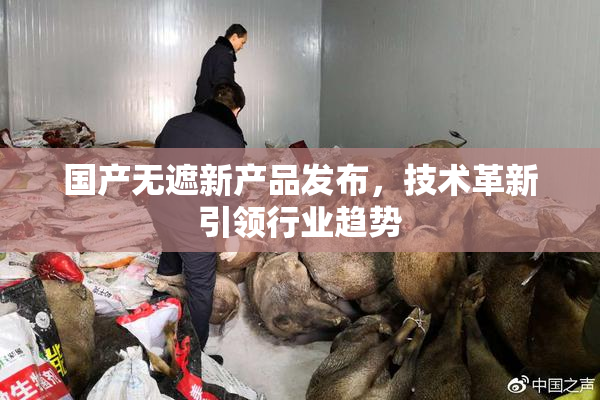 国产无遮新产品发布，技术革新引领行业趋势