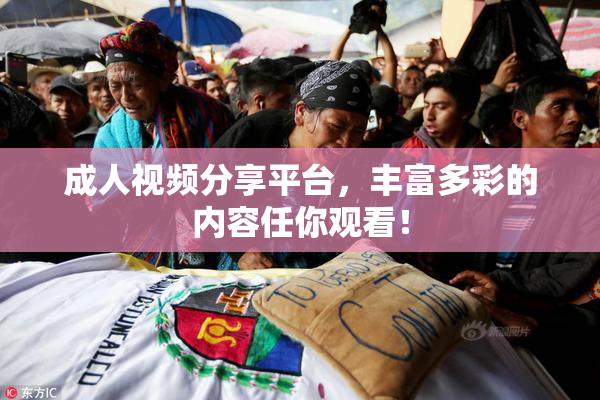 成人视频分享平台，丰富多彩的内容任你观看！