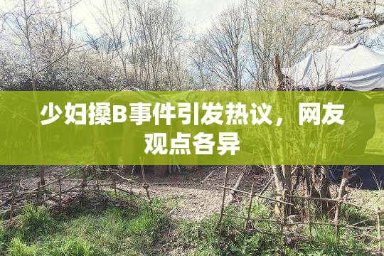 少妇搡B事件引发热议，网友观点各异