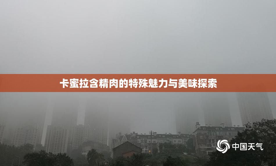卡蜜拉含精肉的特殊魅力与美味探索